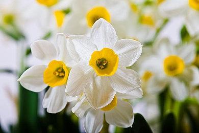 路痴福音 《星球大战绝地：幸存者》将有快速旅行系统